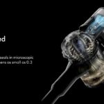 Dyson V8 Extra vacuum