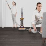 Dyson Ball Animal 3 Complete (Gold)
