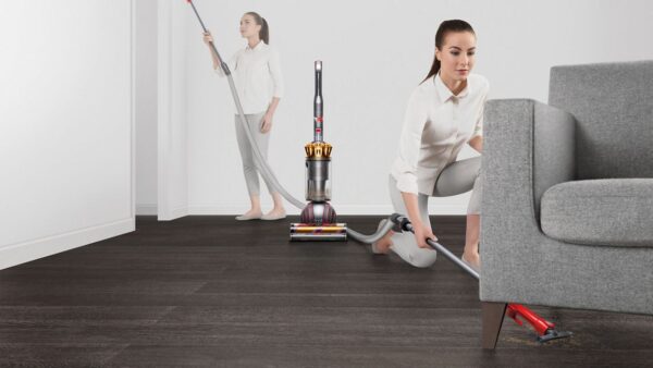 Dyson Ball Animal 3 Complete (Gold)