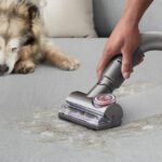 Dyson Ball Animal 3 Complete (Gold)