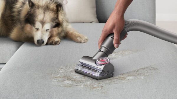 Dyson Ball Animal 3 Complete (Gold)