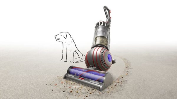 Dyson Ball Animal 3 (Nickel)