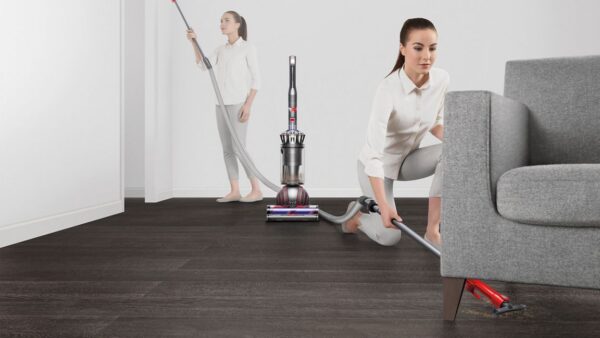 Dyson Ball Animal 3 (Nickel)